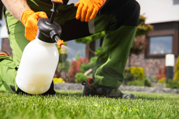Best Pest Removal Services  in Wenonah, NJ