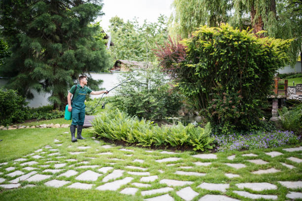 Best Wasp Removal Services  in Wenonah, NJ
