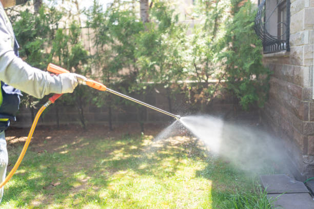 Best Mosquito Control Services  in Wenonah, NJ