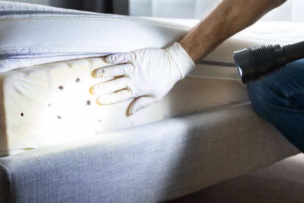 Best Best Pest Control Companies  in Wenonah, NJ