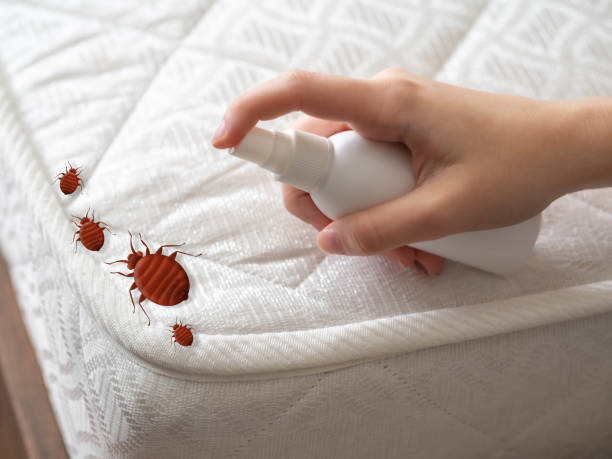 Best Best Pest Control Companies  in Wenonah, NJ