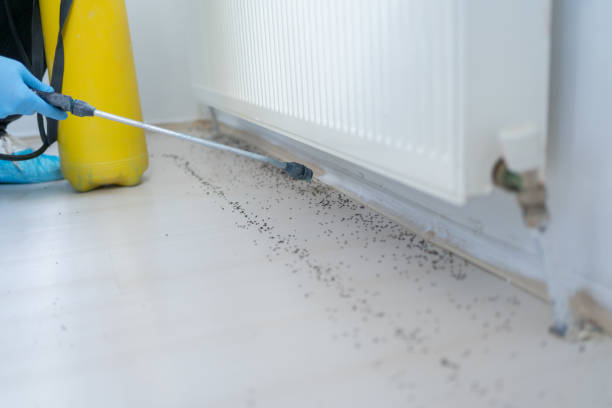 Best Emergency Pest Control  in Wenonah, NJ